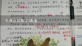 中班认识数字9教案,幼儿园中班认识图形教案