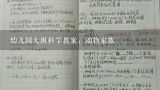 幼儿园大班科学教案：动物家族,幼儿园艺术教案《它们的尾巴》