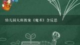 幼儿园大班教案《魔术》含反思,中班语言教案：魔术师