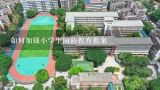 如何加强小学生国防教育教案,小学四年级国防教育教案