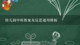 幼儿园中班教案及反思通用模板,幼儿园中班主题优秀教案及教学反思