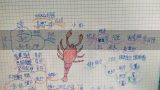 小学四年级数学下册《运算定律》教案优质范文三篇