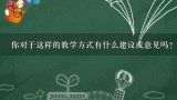 你对于这样的教学方式有什么建议或意见吗?