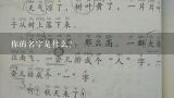 你的名字是什么?