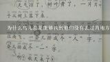 为什么鸟儿总是能够找到他们没有去过的地方?