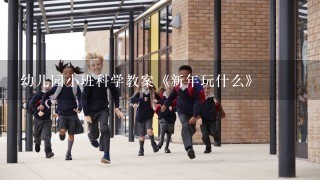 幼儿园小班科学教案《新年玩什么》