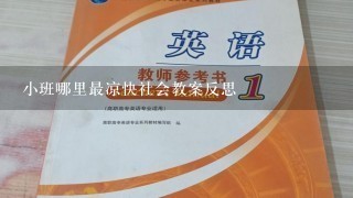 小班哪里最凉快社会教案反思