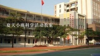 夏天小班科学活动教案