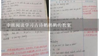 中班阅读学习古诗鹅鹅鹅的教案