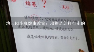 幼儿园小班健康教案：动物是怎样行走的