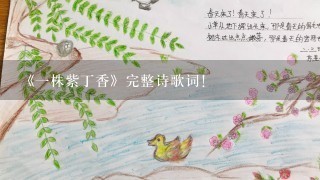 《一株紫丁香》完整诗歌词！