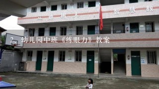 幼儿园中班《练眼力》教案