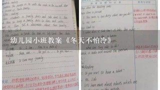 幼儿园小班教案《冬天不怕冷》