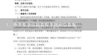 小学安全法制教育主题班会教案