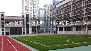 小学科学二年级上册：《动物怎样生活》教案