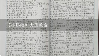 《小蚂蚁》大班教案