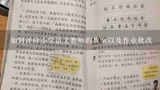 如何评价小学语文教师的教案以及作业批改