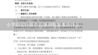 小学语文沙漠中的绿洲教案要抄什么