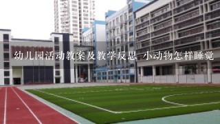 幼儿园活动教案及教学反思 小动物怎样睡觉