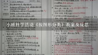 小班科学活动《按图形分类》教案及反思