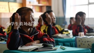 小学生农场起名？