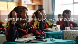 中班蒙氏数学《数物结合》公开课优秀教案？