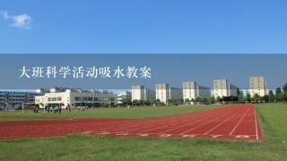 大班科学活动吸水教案