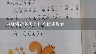 中班活动冬天是什么优质教案