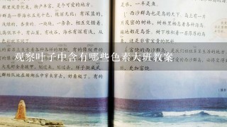 观察叶子中含有哪些色素大班教案