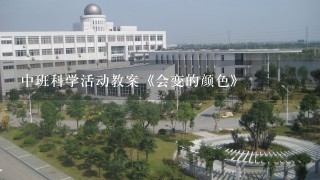 中班科学活动教案《会变的颜色》