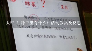 大班《 种子里有什么》活动教案及反思