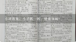 小班教案，小手抓一抓，健康领域？