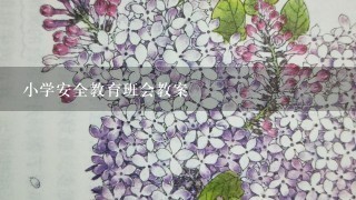 小学安全教育班会教案