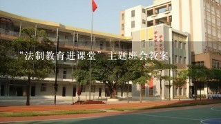 “法制教育进课堂”主题班会教案