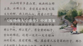 《按物体大小排序》中班教案