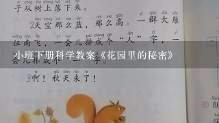 小班下册科学教案《花园里的秘密》