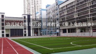 幼儿园中班语言公开课教案《萝卜兔的故事》含反思