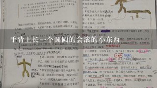 手背上长一个圆圆的会滚的小东西