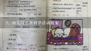 幼儿园小班科学活动教案