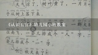 《认识五官》幼儿园小班教案