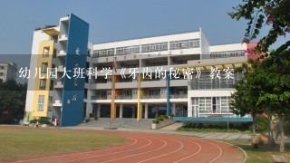 幼儿园大班科学《牙齿的秘密》教案