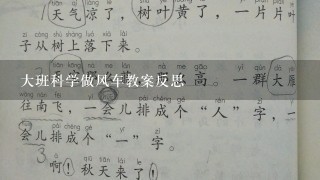 大班科学做风车教案反思