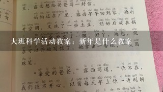 大班科学活动教案：新年是什么教案