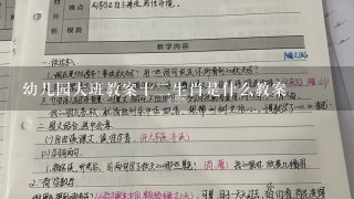 幼儿园大班教案十二生肖是什么教案