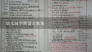 幼儿园中班语言教案