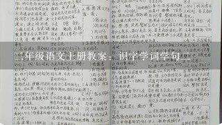 二年级语文上册教案：识字学词学句二