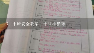 中班安全教案：十只小猫咪