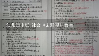 幼儿园中班 社会《去野餐》教案