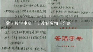 蒙氏数学中班下册教案感知三角形