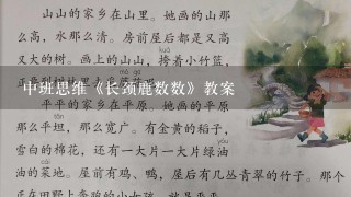 中班思维《长颈鹿数数》教案